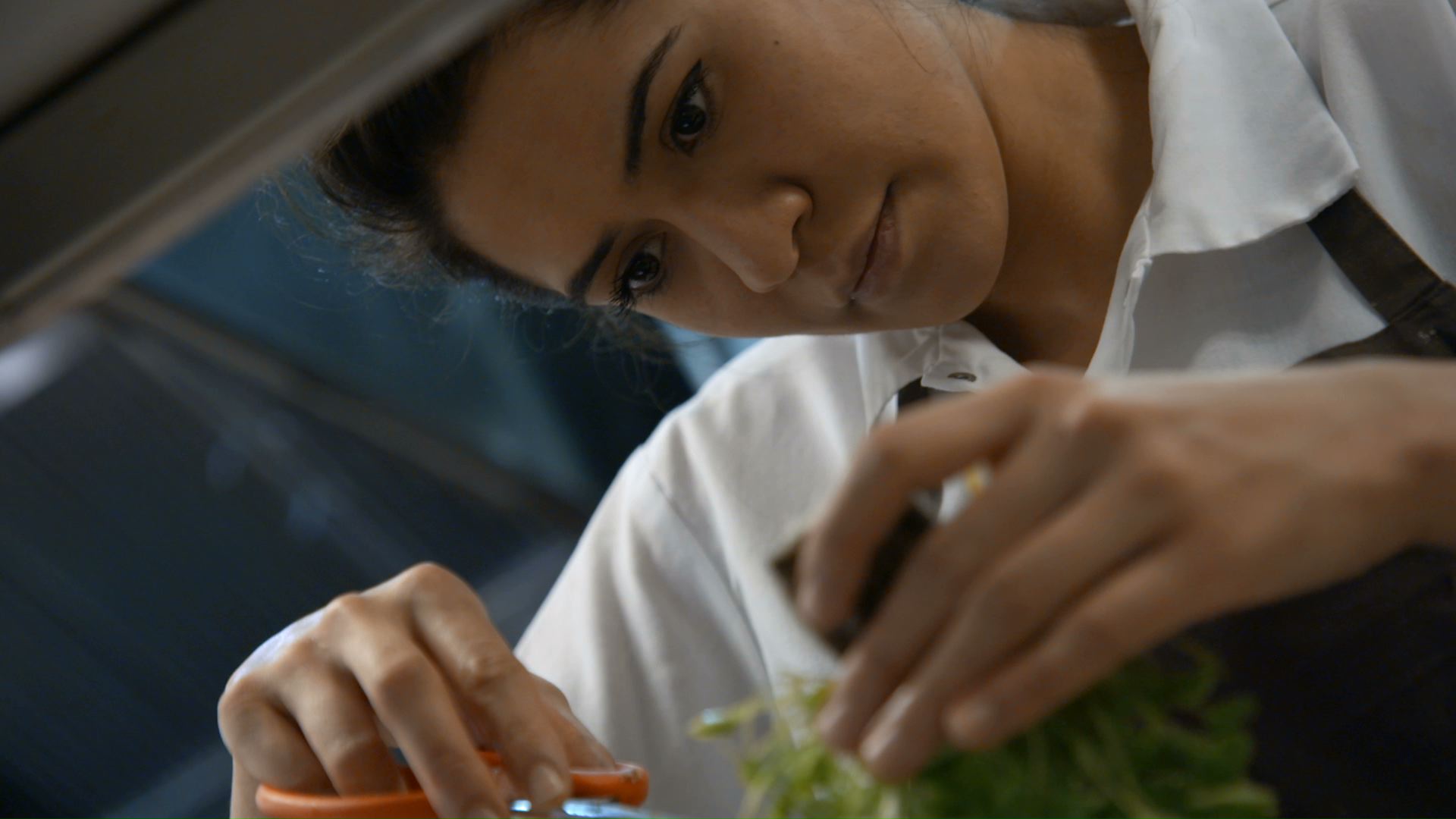La Cocinera
